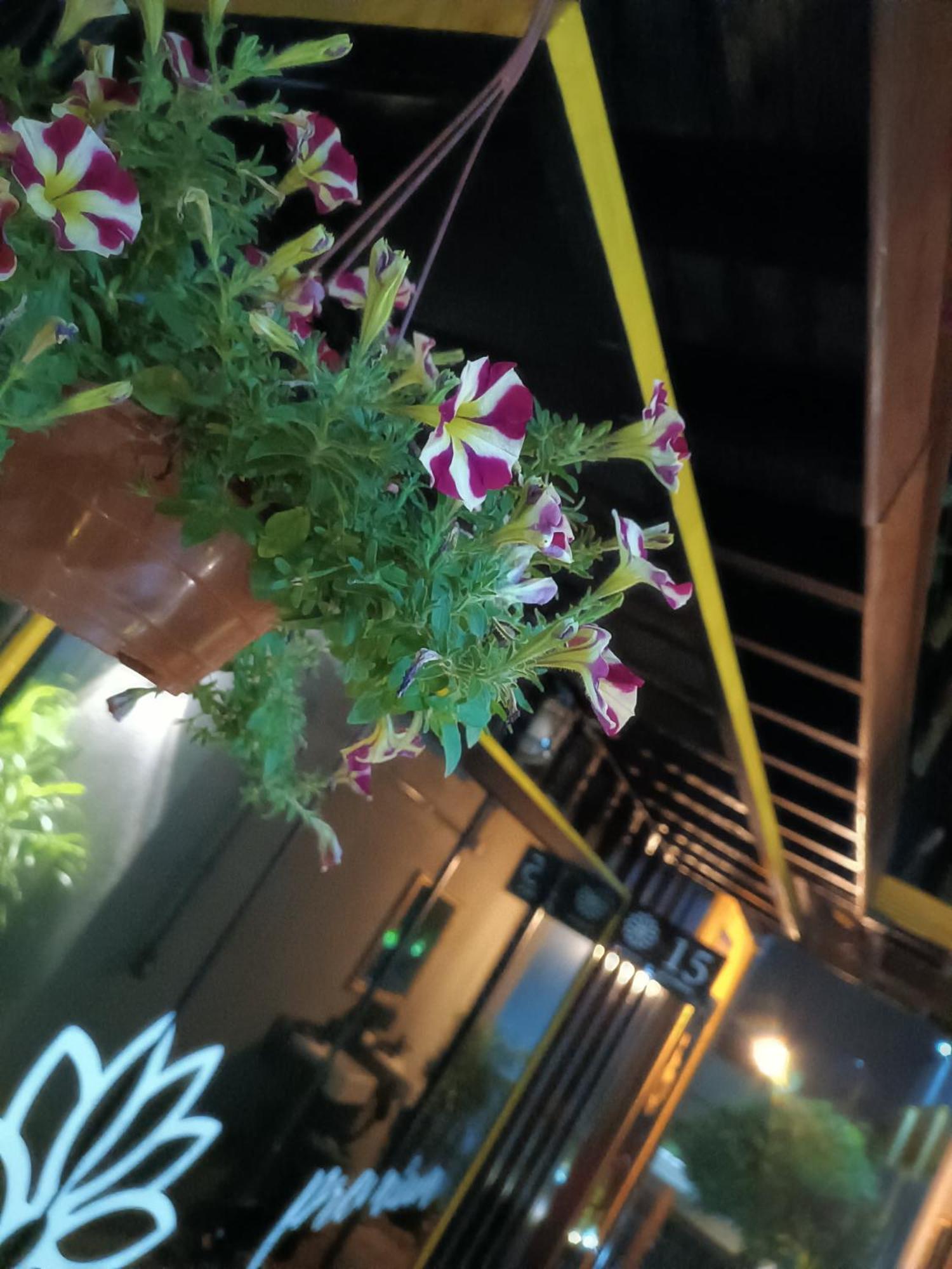 Hotel Flores De Оламбра Экстерьер фото